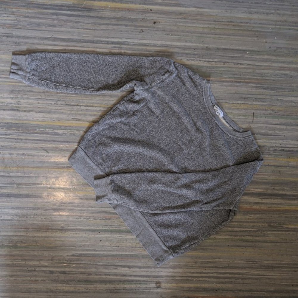 Aritzia Sweatshirt